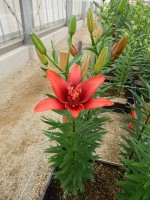 [5703 DJ AZ-02 No01.JPG]